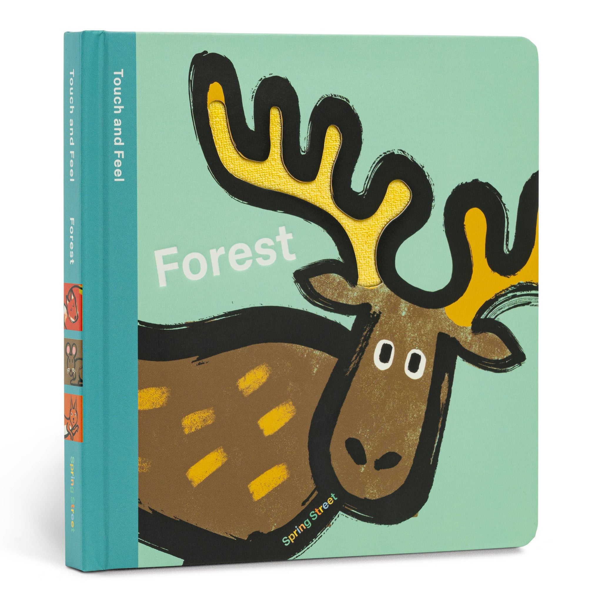 Spring Street Touch and Feel: Forest by Boxer Books
