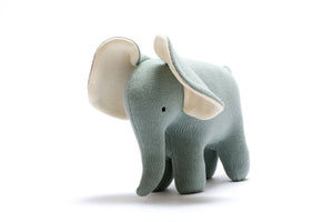 Large Elephant in Teal