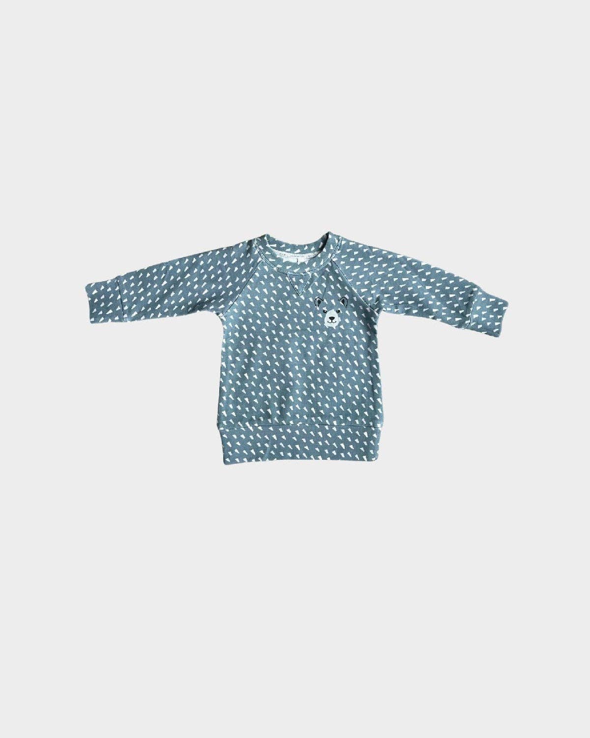 Boy's Raglan Sweatshirt