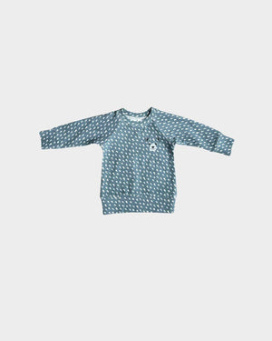 Boy's Raglan Sweatshirt